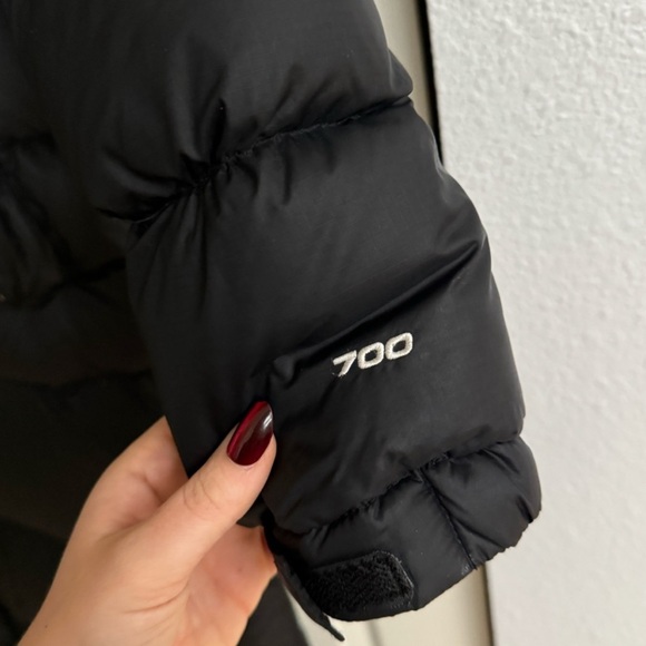 The North Face 700 Series Down Parka - Picture 4 of 8
